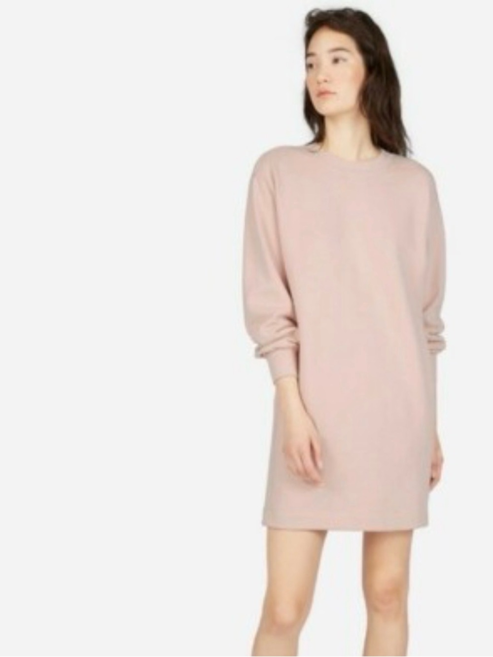 Everlane Women's Terry Sweatshirt Dress in Ivory